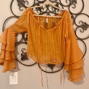 Off shoulder, wing sleeved blouse